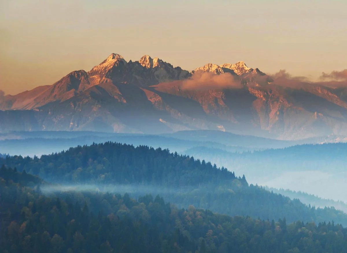 Elektronika – niezbędna dla współczesnego społeczeństwa technologia