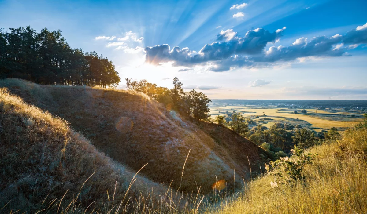 Poradnik dla początkujących - jak skutecznie linkować strony w celu zwiększenia ich widoczności w wyszukiwarkach
