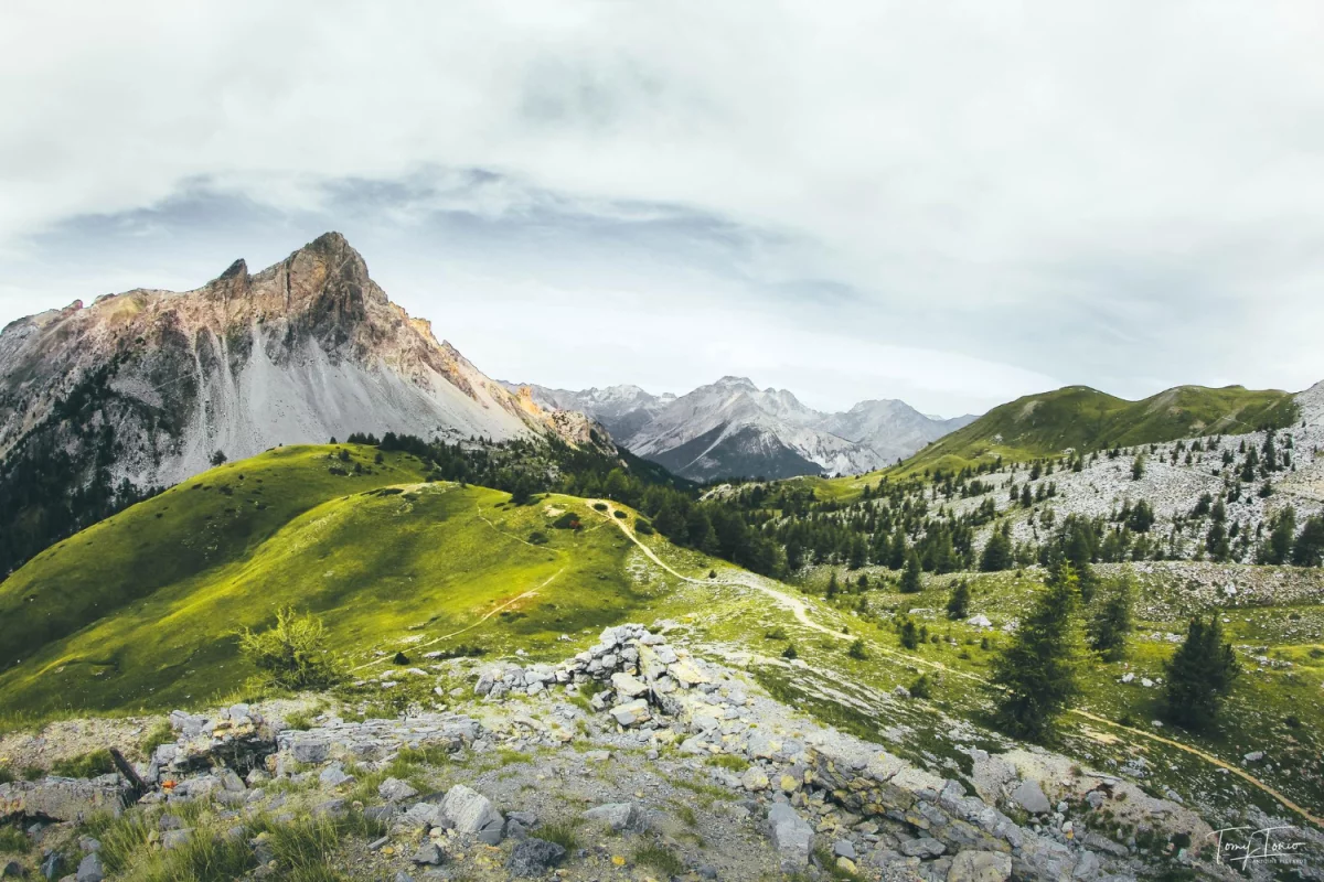 Korzystaj z Portalu o zdrowiu i dbaj o swoje zdrowie w łatwy sposób