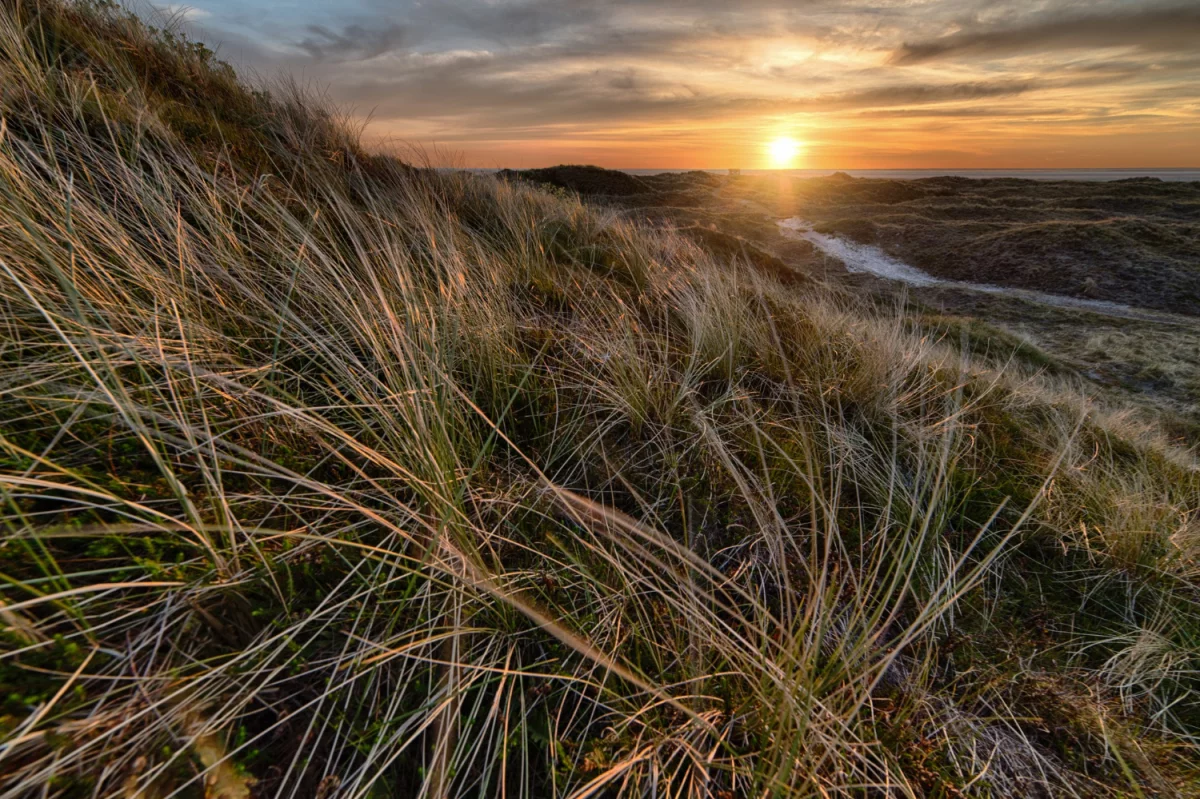 Obliczanie śladu węglowego w branży rozrywkowej: Klucz do zrównoważonego rozwoju i odpowiedzialnej produkcji