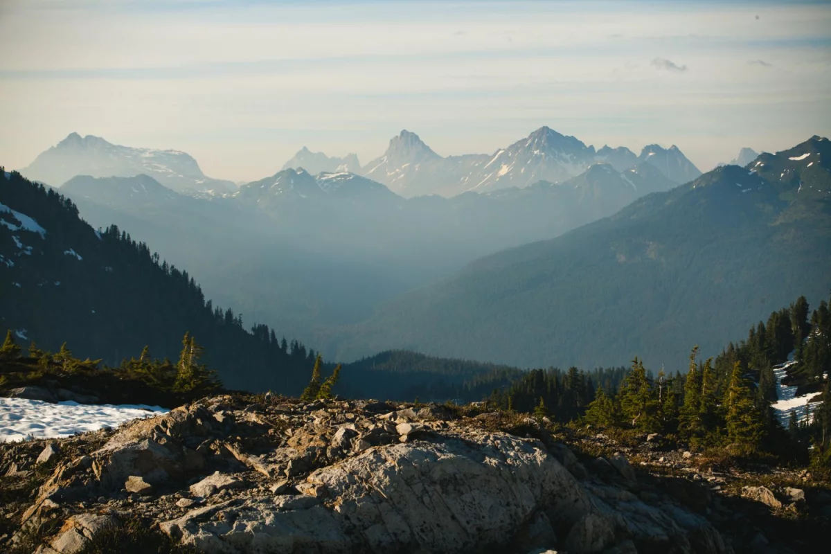 Odkryj potęgę wiedzy i rozwijaj się dzięki wszechstronnemu Portalowi Edukacyjnemu!