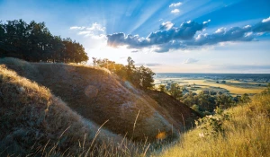 AGD - niezastąpione urządzenia w codziennym życiu